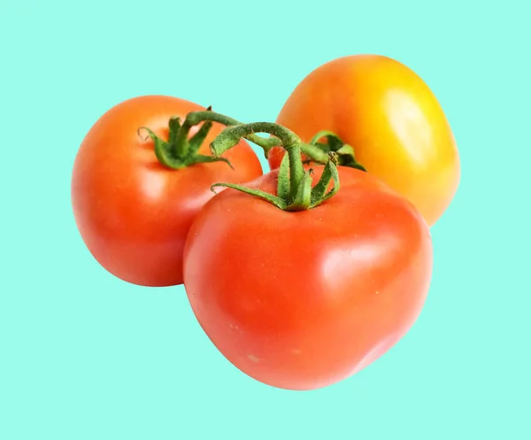 Tomaten Isoliert Mit Schneideweg Kein Schatten Grünen Hintergrund Roter Tomatenstrauß — Stockfoto