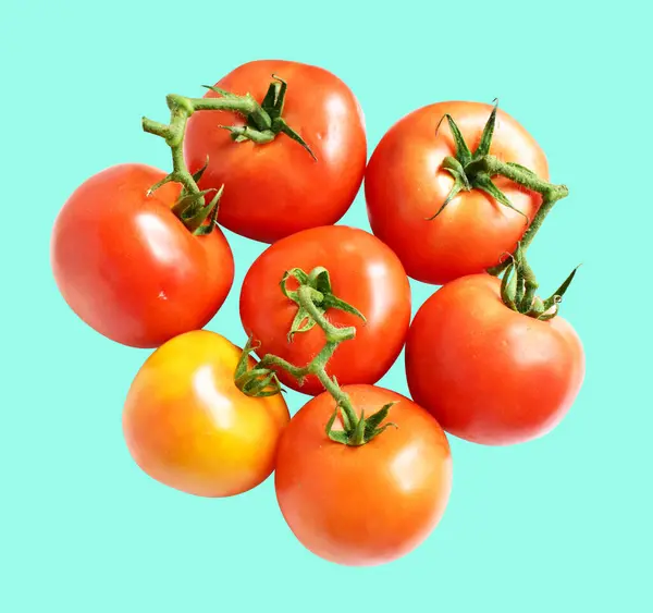 Tomatoes Isolated Clipping Path Shadow Green Background Red Tomatoes Bunch — Stock Photo, Image