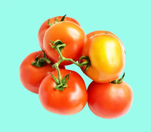 Tomates Isolées Avec Chemin Coupe Pas Ombre Dans Fond Vert — Photo