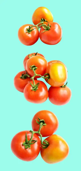 Tomaten Geïsoleerd Met Clipping Pad Geen Schaduw Groene Achtergrond Rode — Stockfoto