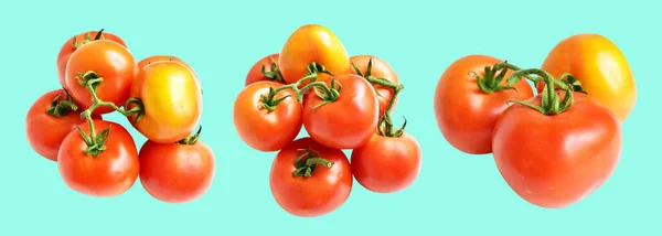 Tomaten Isoliert Mit Schneideweg Kein Schatten Grünen Hintergrund Roter Tomatenstrauß — Stockfoto