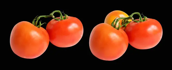 Tomatoes Isolated Clipping Path Shadow Black Background Red Tomatoes Bunch — Stock Photo, Image