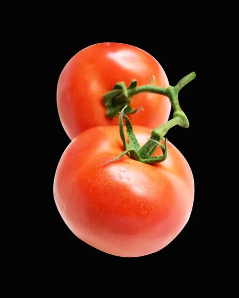 Tomaten Isoliert Mit Schneideweg Kein Schatten Vor Schwarzem Hintergrund Roter — Stockfoto