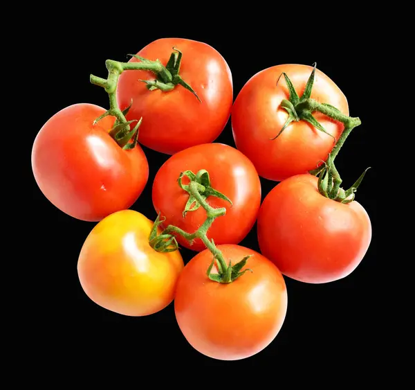 Tomates Isolados Com Caminho Recorte Sem Sombra Fundo Preto Tomates — Fotografia de Stock