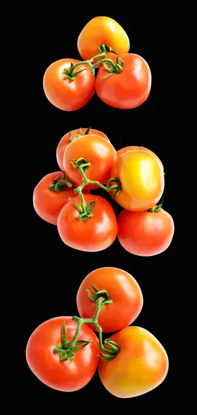 Tomates Aislados Con Ruta Recorte Sin Sombra Fondo Negro Racimo — Foto de Stock