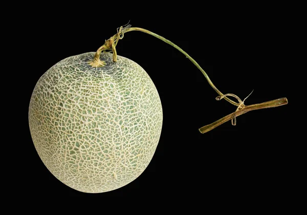 Καρπούζι Πεπόνι Ιαπωνικά Φρούτα Απομονωμένα Μονοπάτι Αποκοπής Χωρίς Σκιά Μαύρο — Φωτογραφία Αρχείου