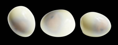 Kaynamış yumurta kırpma yolu ile izole edilmiş, siyah arka planda gölge yok, tavuk yumurtası