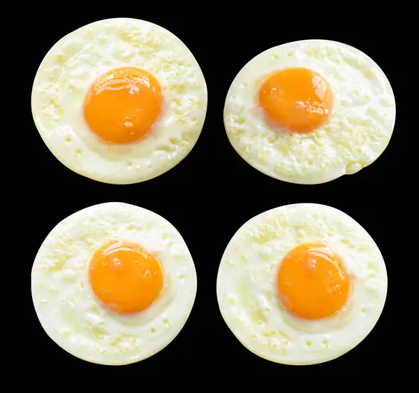 배경에 그림자 닭고기 달걀으로 — 스톡 사진