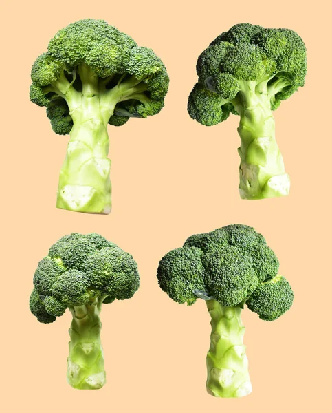 Brokolice Nebo Květák Izolované Přírůstkem Cesty Stříhání Pozadí Žádný Stín — Stock fotografie
