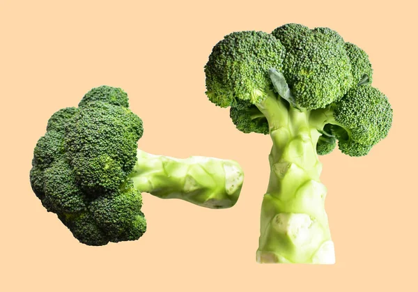 Broccoli Bloemkool Geïsoleerd Met Clipping Pad Incream Achtergrond Geen Schaduw — Stockfoto