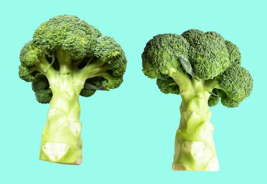 Brokoli ya da karnabahar kesme yolu ile izole edilmiş yeşil arka plan, gölge yok, yemek malzemeleri, sağlıklı sebzeler