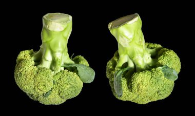 Brokoli ya da karnabahar kesme yolu ile izole siyah arka plan, gölge yok, yemek malzemeleri, sağlıklı sebzeler