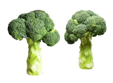 Brokoli ya da karnabahar kırpma yolu ile izole edilmiş beyaz arka plan, gölge yok, yemek malzemeleri, sağlıklı sebzeler