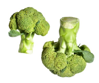 Brokoli ya da karnabahar kırpma yolu ile izole edilmiş beyaz arka plan, gölge yok, yemek malzemeleri, sağlıklı sebzeler