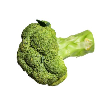 Brokoli ya da karnabahar kırpma yolu ile izole edilmiş beyaz arka plan, gölge yok, yemek malzemeleri, sağlıklı sebzeler