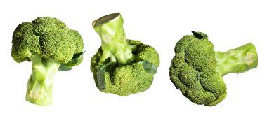 Brokoli ya da karnabahar kırpma yolu ile izole edilmiş beyaz arka plan, gölge yok, yemek malzemeleri, sağlıklı sebzeler