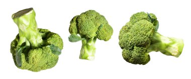 Brokoli ya da karnabahar kırpma yolu ile izole edilmiş beyaz arka plan, gölge yok, yemek malzemeleri, sağlıklı sebzeler