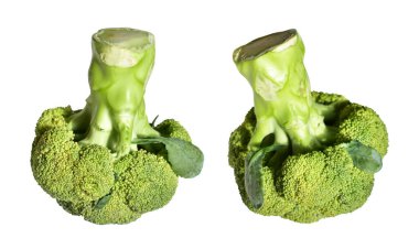 Brokoli ya da karnabahar kırpma yolu ile izole edilmiş beyaz arka plan, gölge yok, yemek malzemeleri, sağlıklı sebzeler