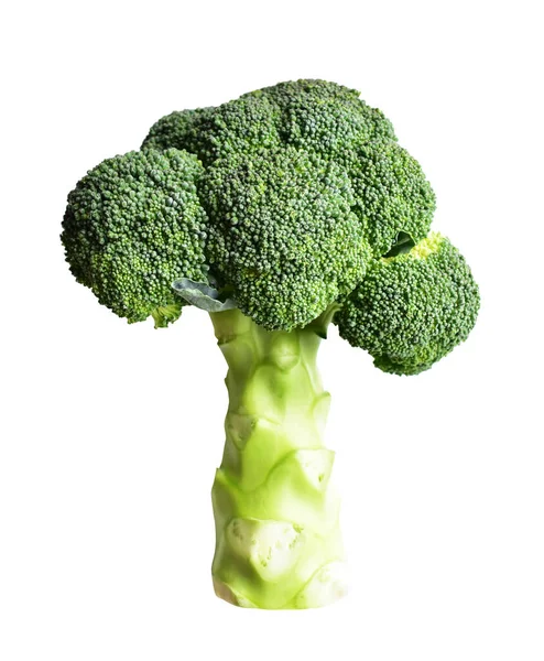 Brokolice Nebo Květák Izolované Výstřižkem Cesta Bílém Pozadí Žádný Stín — Stock fotografie