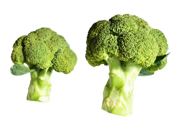 Broccoli Eller Blomkål Isoleret Med Klipning Sti Ihvid Baggrund Ingen - Stock-foto
