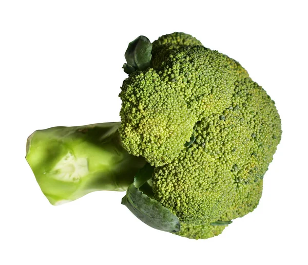 Broccoli Eller Blomkål Isolerad Med Klippning Väg Vitaktig Bakgrund Ingen — Stockfoto