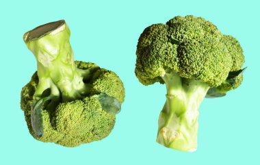 Brokoli ya da karnabahar. Kırpma yolu izole. Geçmişi temiz, gölgesi yok.