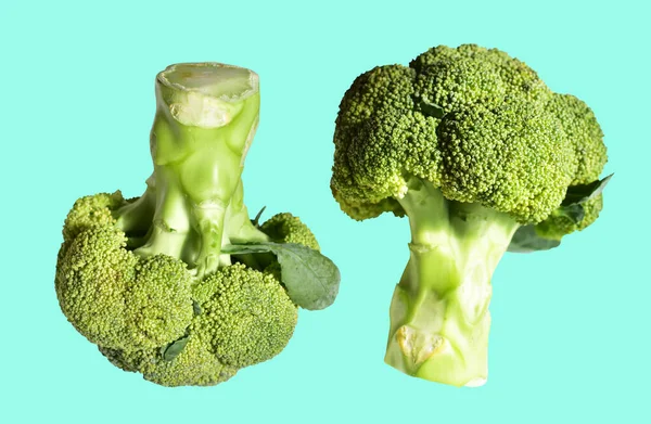 Broccoli Eller Blomkål Isoleret Med Klipning Sti Inmint Baggrund Ingen - Stock-foto