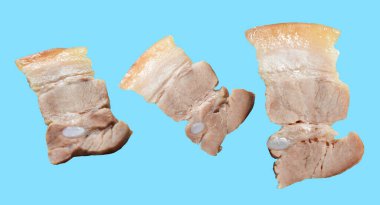 Kaynamış domuz eti dilimi ya da kırpma yolu ile izole edilmiş bir parça, açık mavi arka planda gölge yok, yemek malzemeleri