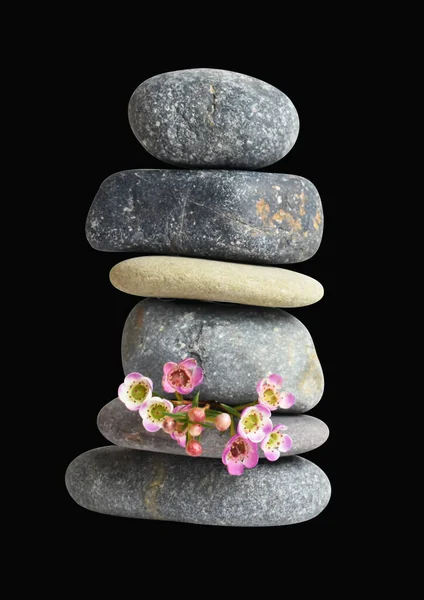 Balancing stone or rock isolated, natural pebble with clipping path, no shadow in black background