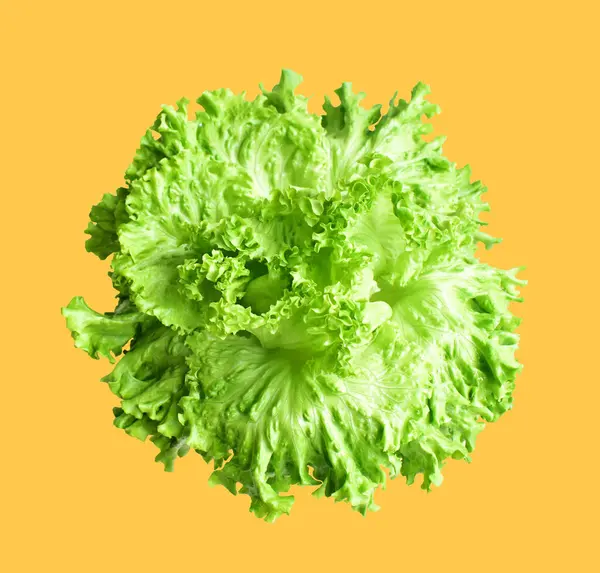 Salada Alface Verde Isolada Com Caminho Recorte Sem Sombra Fundo — Fotografia de Stock