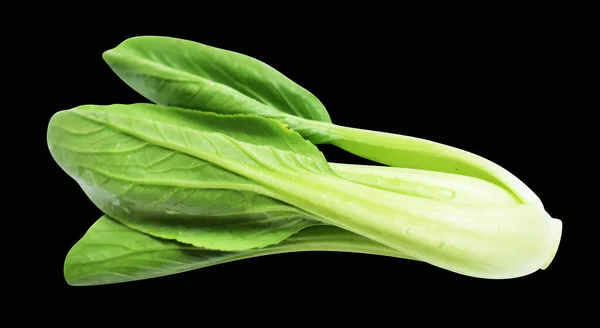 独木舟或白菜 大白菜 有切条 无黑影背景 新鲜蔬菜 — 图库照片