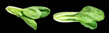 Çin lahanası ya da bok choy (Çin lahanası) kırpma yolu ile izole edilmiş siyah arka planda gölge yok, taze sebzeler