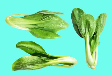Çin lahanası veya bok choy (Çin lahanası) kesme yolu ile izole edilmiş yeşil arka planda gölge yok, taze sebzeler