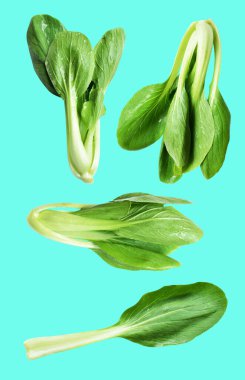 Çin lahanası veya bok choy (Çin lahanası) kesme yolu ile izole edilmiş yeşil arka planda gölge yok, taze sebzeler