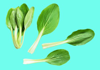 Çin lahanası veya bok choy (Çin lahanası) kesme yolu ile izole edilmiş yeşil arka planda gölge yok, taze sebzeler
