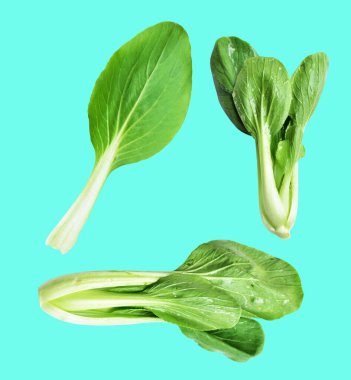 Çin lahanası veya bok choy (Çin lahanası) kesme yolu ile izole edilmiş yeşil arka planda gölge yok, taze sebzeler