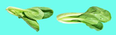 Çin lahanası veya bok choy (Çin lahanası) kesme yolu ile izole edilmiş yeşil arka planda gölge yok, taze sebzeler