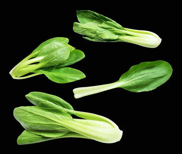 独木舟或白菜 大白菜 有切条 无黑影背景 新鲜蔬菜 — 图库照片