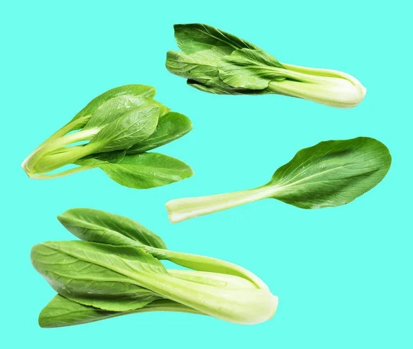 独木舟或白菜 大白菜 无剪枝路径 绿色背景阴影 新鲜蔬菜 — 图库照片