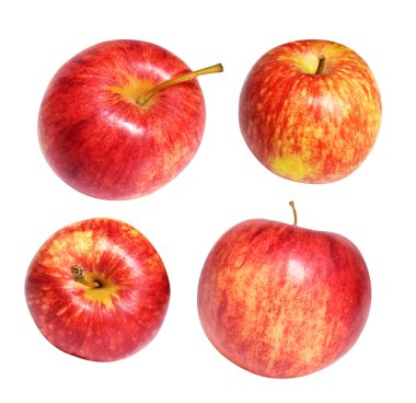 Kırmızı Gala elması kırpma yolu ile izole edilmiş, beyaz arka planda gölge yok, taze meyve