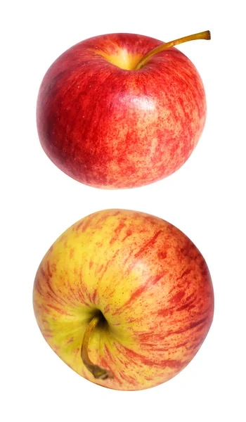 Червоне Гала Яблуко Ізольоване Відсічним Контуром Тіні Білому Тлі Свіжі — стокове фото
