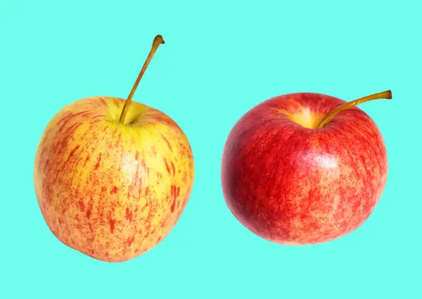 Kırmızı Gala Elması Kırpma Yolu Ile Izole Edilmiş Yeşil Arka — Stok fotoğraf