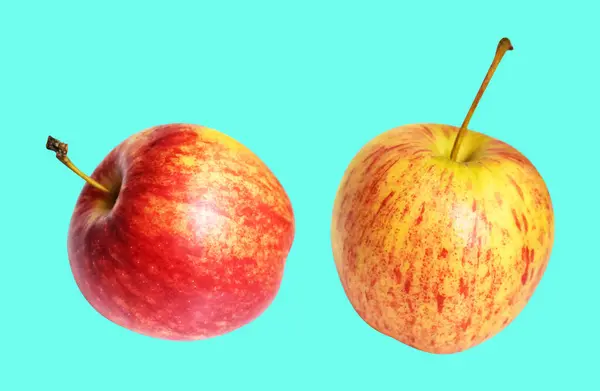 Pomme Gala Rouge Isolée Avec Chemin Coupe Pas Ombre Dans — Photo