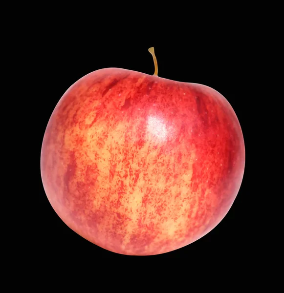 Pomme Gala Rouge Isolée Avec Chemin Coupe Pas Ombre Fond — Photo