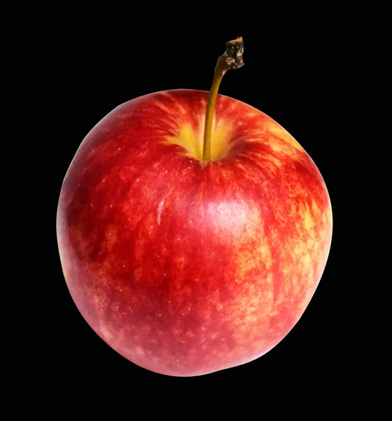 Červená Galavečer Jablko Izolované Výstřižkem Stezka Žádný Stín Černém Pozadí — Stock fotografie