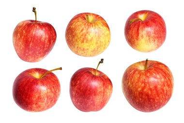 Kırmızı Gala elması kırpma yolu ile izole edilmiş, beyaz arka planda gölge yok, taze meyve