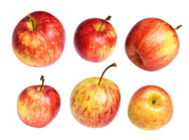 Kırmızı Gala elması kırpma yolu ile izole edilmiş, beyaz arka planda gölge yok, taze meyve