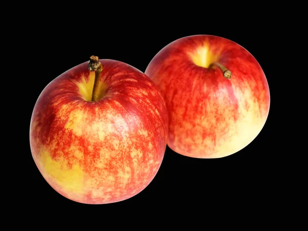 Κόκκινο Μήλο Gala Απομονωμένο Μονοπάτι Αποκοπής Χωρίς Σκιά Μαύρο Φόντο — Φωτογραφία Αρχείου