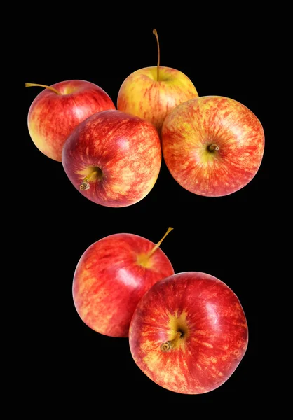 Roter Gala Apfel Isoliert Mit Schnittpfad Kein Schatten Auf Schwarzem — Stockfoto