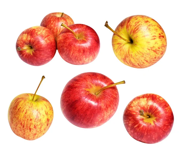 Κόκκινο Μήλο Gala Απομονωμένο Μονοπάτι Αποκοπής Χωρίς Σκιά Λευκό Φόντο — Φωτογραφία Αρχείου